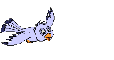 flying bird