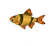 link to Treasures at Sea