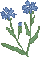 blue flower