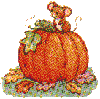mouse in a pumpkin